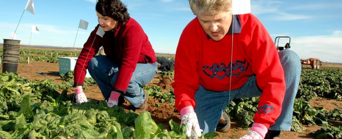 jobs-in-agriculture_1